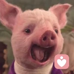 好好生活的头像