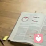 一夕一绽一缕芳，一生一叹一痕伤的头像