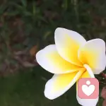 轉裑、涐笑る的头像