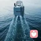 天道好轮回的头像