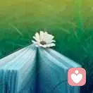 改朝换代的头像