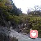 唯一的头像
