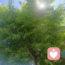 沉睡的小猫的头像