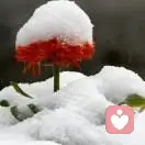 笑话如人的头像