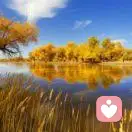 A东西方心理学家的头像