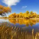 A东西方心理学家