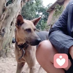 心理有罪的头像