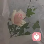 谢轶眠-•的头像