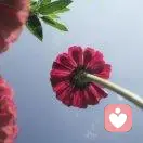 春曉的頭像