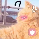 =^･ω･^=的头像