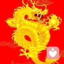 金诚合作的头像