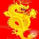 金诚合作