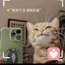 DJ懒洋洋大王的头像