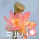 好运来的头像
