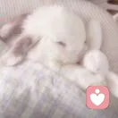 蒽的头像