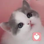 怡	又困了的头像