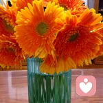 月儿弯弯的头像