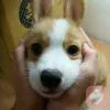 好多于。