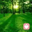 démon	de	laplace的头像