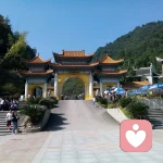 寂寞如雪的头像