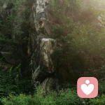 听不见的对白的头像