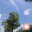 H的头像