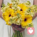 超大大大牌的头像