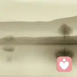 旧城以西的头像