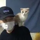 孤独一掷
