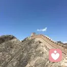 风中的承诺的头像