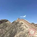 风中的承诺