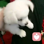 丶		深情相拥		m的头像