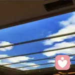 烦躁的生活ya的头像