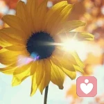 那年冬天，风在吹的头像