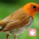 不同的我的头像