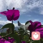 tell	me	why的头像