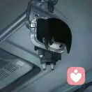 陆闻野的头像