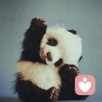 似水年年的头像