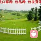 aaaa常青种业15092655007的头像