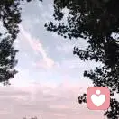 尊重师的头像