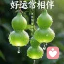 萍水相逢的头像