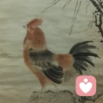 小熊回家的头像