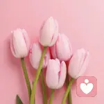 ╭⌒鸣人的头像