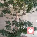 玉坡的头像