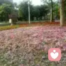 我自星空来的头像