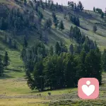 非风若雪的头像