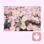 满身风尘的头像