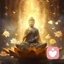 回忆シ支离破碎。的头像