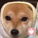 每天只想睡觉的头像