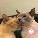 小小小yuki的头像